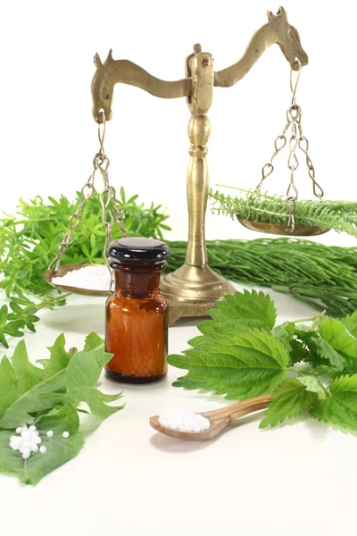 Homeopathy with herbs — Stock Photo, Image