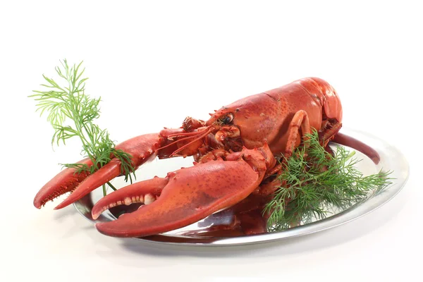 stock image Lobster with dill