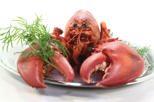 stock image Lobster with dill