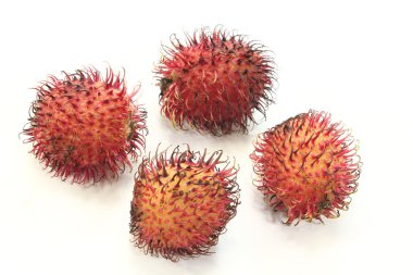 dört kırmızı rambutan