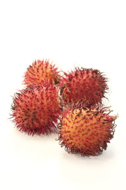 dört taze rambutan