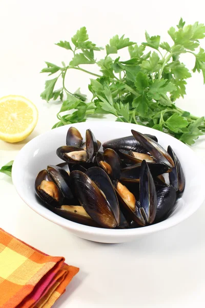 Cozze al vapore in una ciotola — Foto Stock