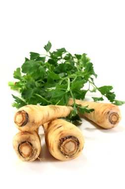 Parsnips clipart