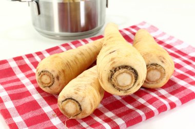 Parsnips clipart