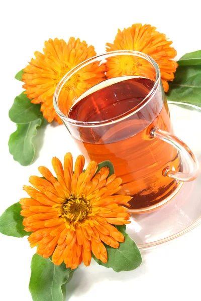 Чай Мэриголд — стоковое фото