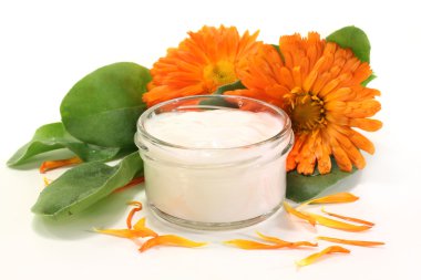 Marigold salve clipart