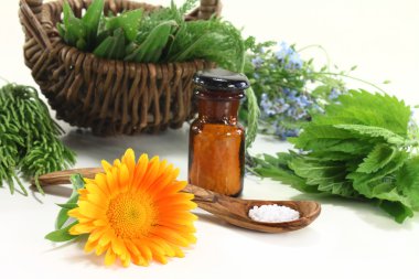 Naturopathy clipart