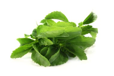 Stevia