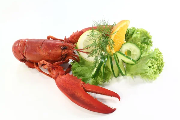 stock image Lobster