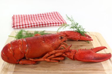 Lobster clipart