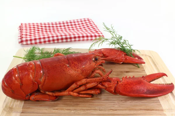 stock image Lobster