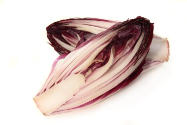 Chicory clipart