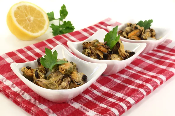 Mussels — Stock Photo, Image