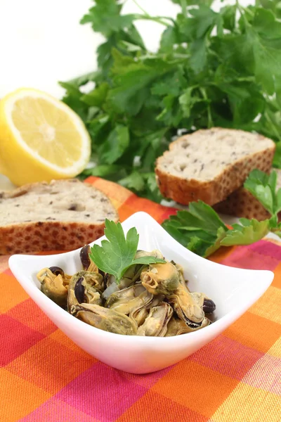 Mussels — Stock Photo, Image