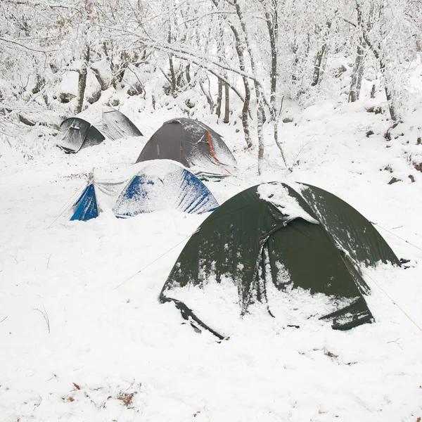 Winter kamp in het forest — Stockfoto
