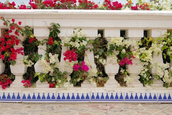 stock image Traditional arabic architecture surrounding exotic plants