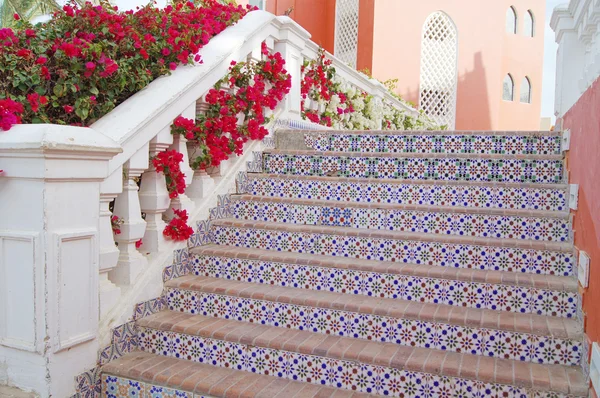 Stairs and bougainvillea