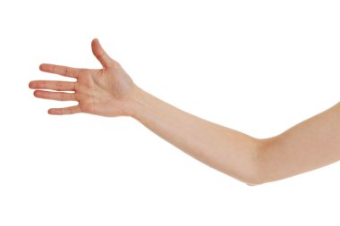 Woman hand. clipart