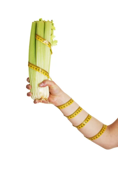 Female hand holding celery — Stock Photo, Image