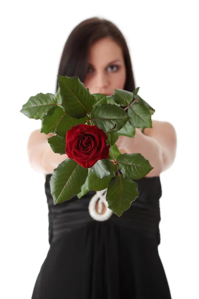Mooie vrouw in sexy jurk bedrijf rode roos — Stockfoto