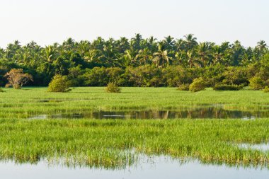 nehir Kerala, Hindistan