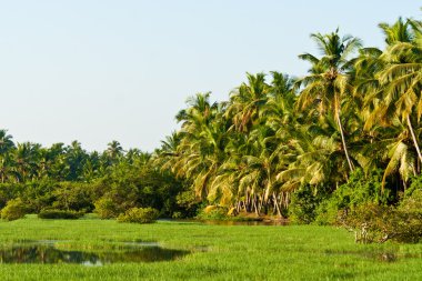 nehir Kerala, Hindistan