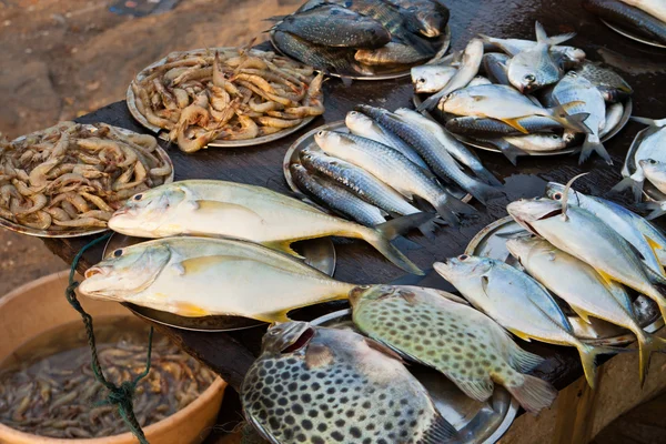 Balık pazarı Kerala, Hindistan — Stok fotoğraf