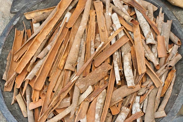 Cinnamon in Kerala, India — Zdjęcie stockowe