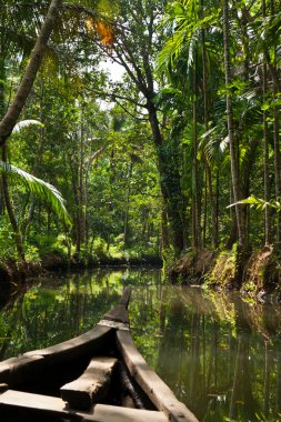 Backwaters in Kerala, India clipart