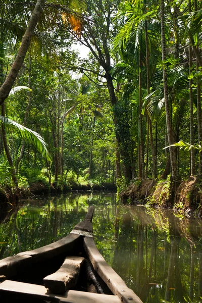 önemsizden Kerala, Hindistan