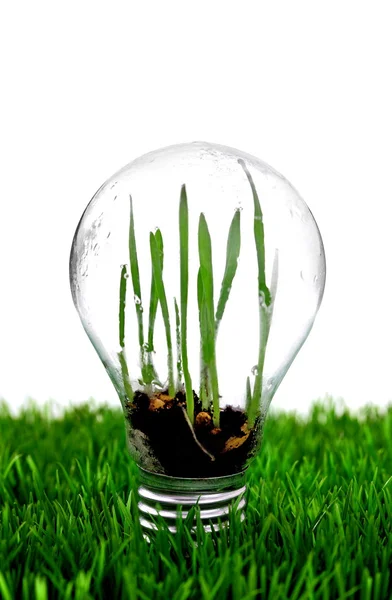 緑の再生可能エネルギーのファーム — ストック写真