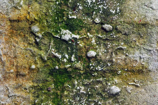 stock image Old grunge brick wall