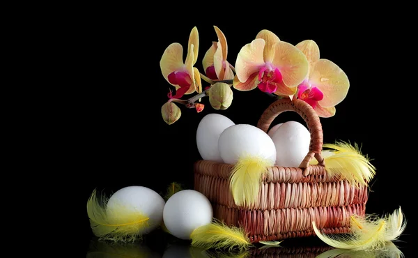 Easter, eggs and spring yellow orchid with drop of dew — Stock Photo, Image
