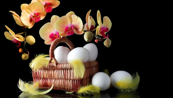 Páscoa, ovos e orquídea amarela de primavera com gota de orvalho — Fotografia de Stock