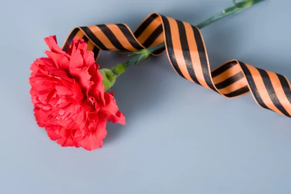 stock image Red carnation and St. George's Ribbon