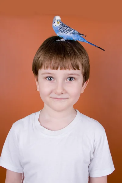 Portret uśmiechnięty chłopiec z papuga na głowie — Zdjęcie stockowe