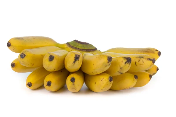 Racimo de plátanos pequeños —  Fotos de Stock