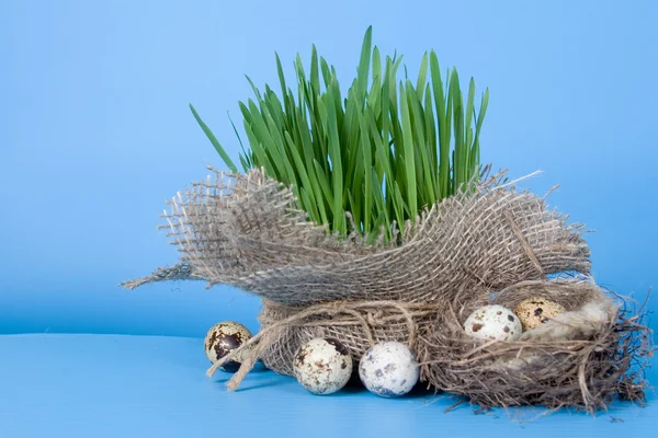 Pâques nature morte avec des œufs de caille dans le nid — Photo
