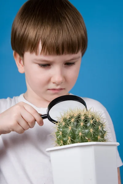 Chlapec a kaktus — Stock fotografie
