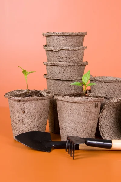 Peat pots, seedlings and garden tools — Stock Photo, Image