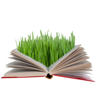 Açık kitap ile yeşil çimen