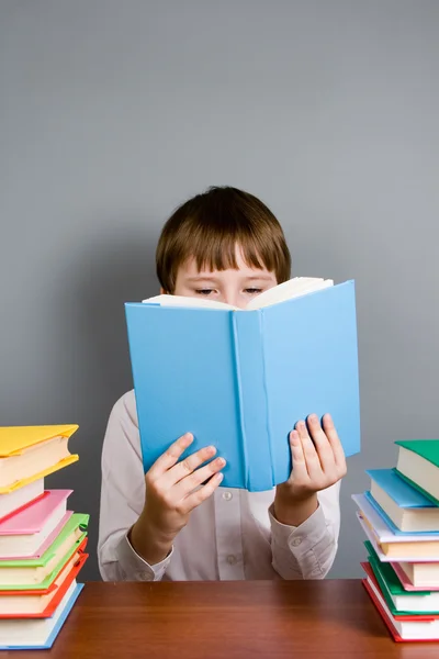 Jongen leest een boek — Stockfoto