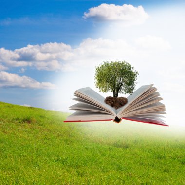 Open book with tree clipart