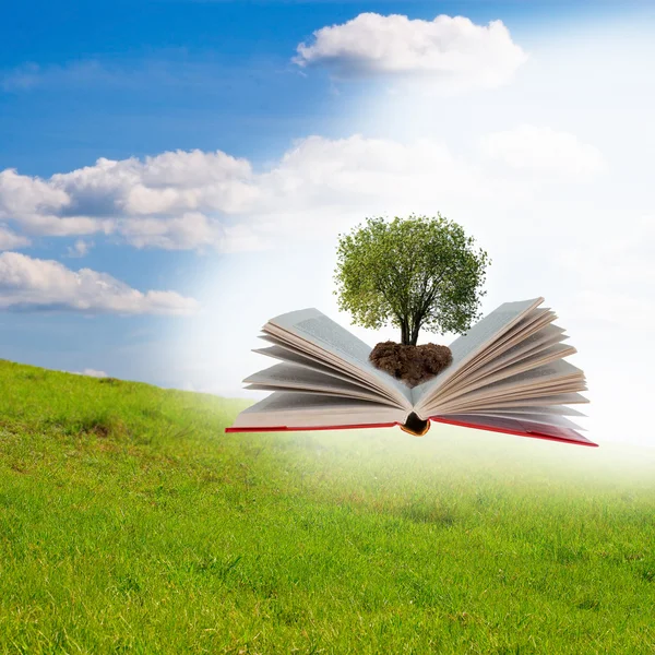 Open book with tree — Stock Photo, Image