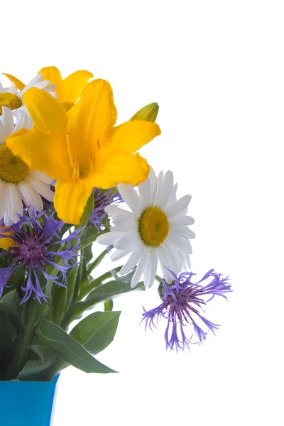 Kornblumen und Gänseblümchen — Stockfoto