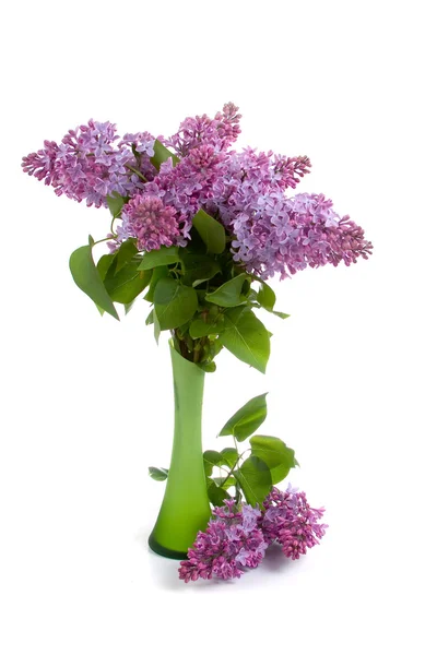 Bouquet lilla in vaso verde — Foto Stock