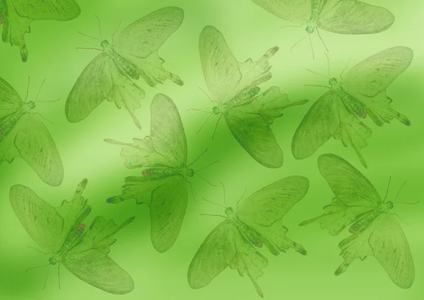 Fond vert avec des papillons noirs — Photo