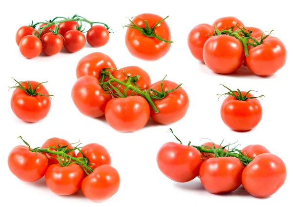 Fresh tomatoes isolated on a white background. — Stock Photo, Image