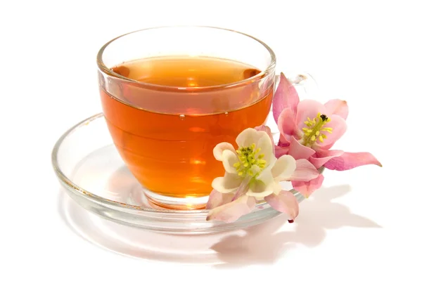 Transparent teacup with tea and flowers — Stock Photo, Image