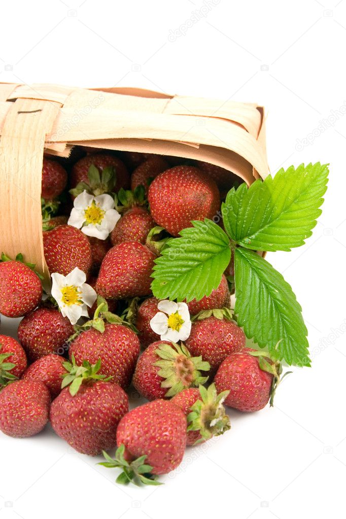 Ripe red strawberries in a basket